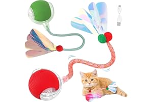 Interactive Chirping Cat Ball Toy Set, 2 Red and Green Motion Activated Balls with Replaceable Tails, Rechargeable Indoor Cat