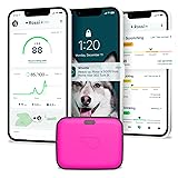 Whistle GPS + Health + Fitness - Ultimate Dog GPS