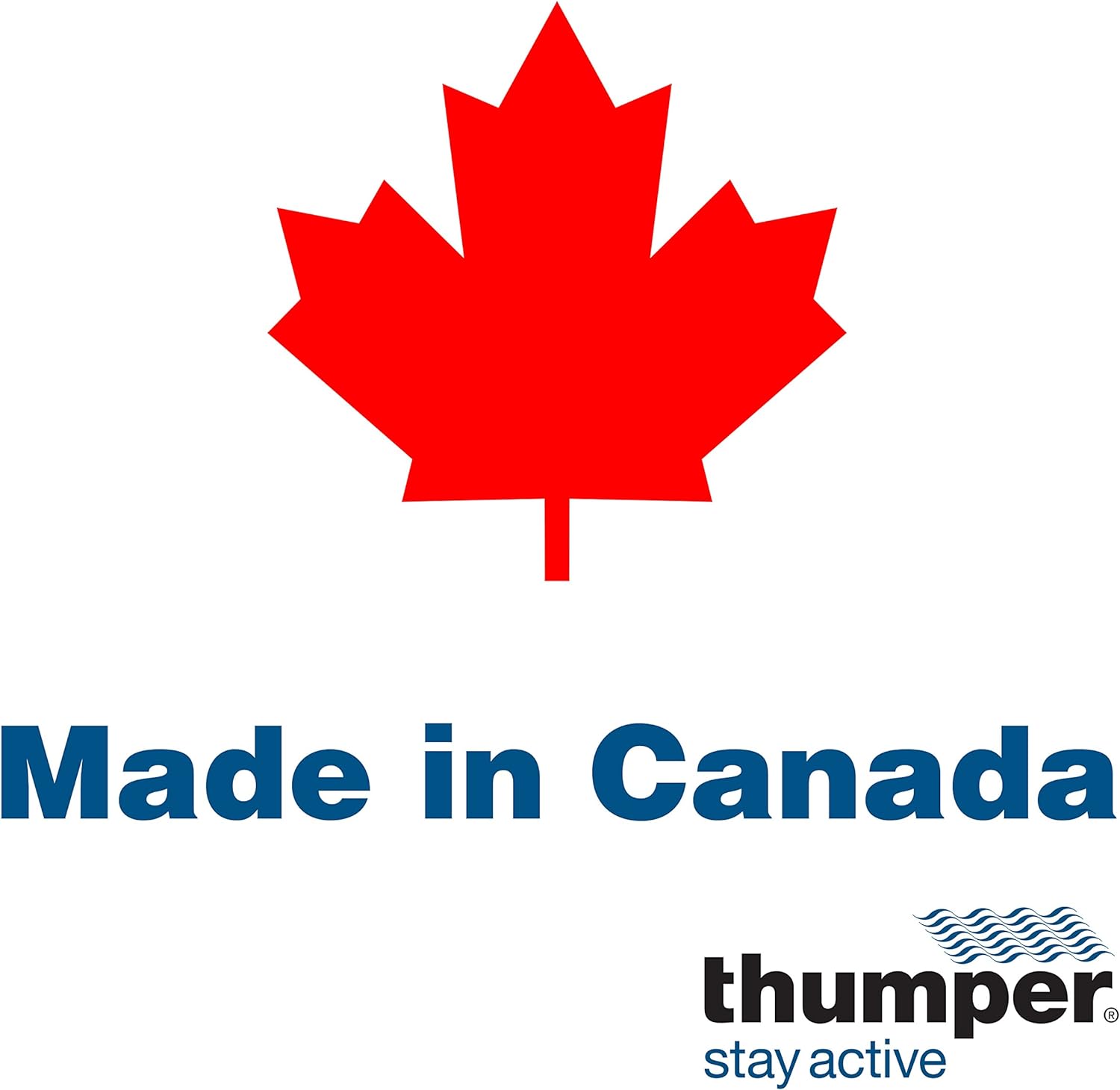 Thumper Maxi Pro Percussive Massager - Deep Tissue Full Body Massager for Professional use. Full Body Massage in 5 Minutes! Powerful Percussion Massager for Chiropractic clinics, with 5 speeds: Health & Personal Care