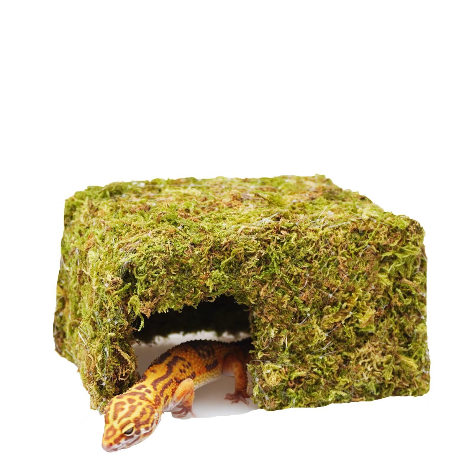 Jinymral Leopard Gecko Tank Accessories, Cute Reptile Hideout Cave