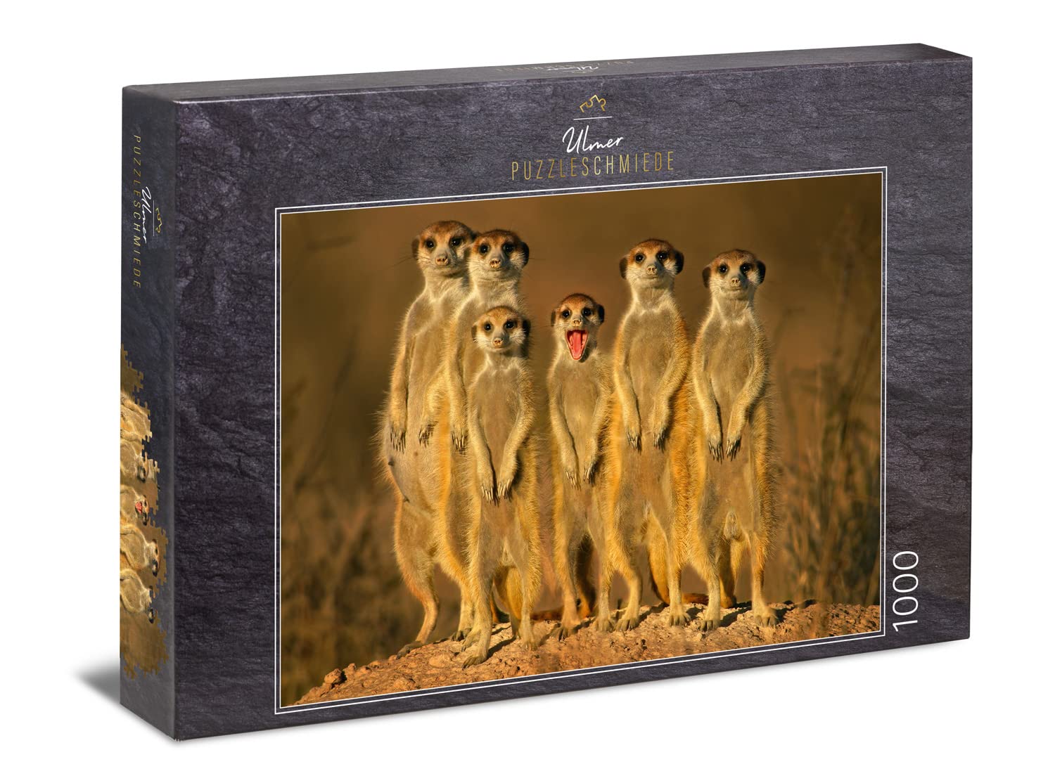 Ulmer Puzzleschmiede - Puzzle "Little Cheeky Badger" - Classic 1000 Piece Animal Puzzle - Puzzle Motif of the Funny Group Little Meerkats in Southern Africa