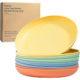 Lot De 6 Assiettes En Plastique Incassables - Passe Au Lave-vaisselle Et Micro-ondes - Pour Maison, Pique-nique, Camping - 7