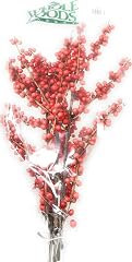 Continental Floral Greens Seasonal Berry Branch Box, 1 EA