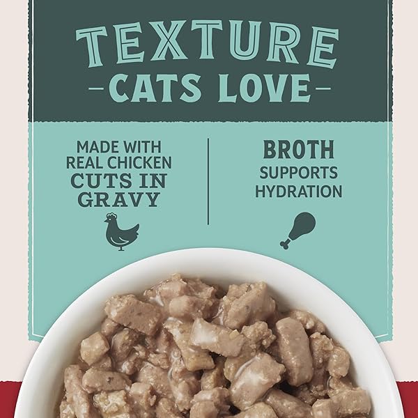 NATURAL BALANCE ULTRA PROTEIN WET CAT FOOD CUTS IN GRAVY, REAL CHICKEN RECIPE WITH PROTEIN-RICH ORGANS FOR CATS, ORGAN CAT FOOD WITH HIGH PROTEIN- 2.7OZ. (PACK OF 10)