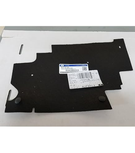 Amazon.com: Ford AL3Z-8311-A Deflector - AIR