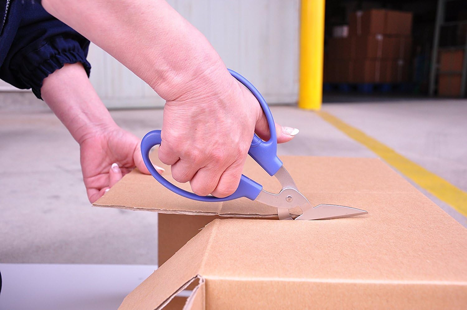 CANARY Cardboard Scissors, Blue (PS6500H) eBay