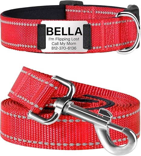 plastic dog collars with name plates