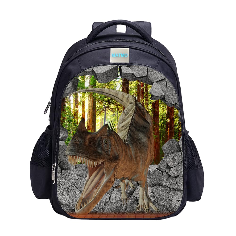 MATMO Dinosaur Backpack Dinosaur Backpacks for Boys School Backpack Kids Bookbag, Dinosaur 9, OneSize, Cartoon
