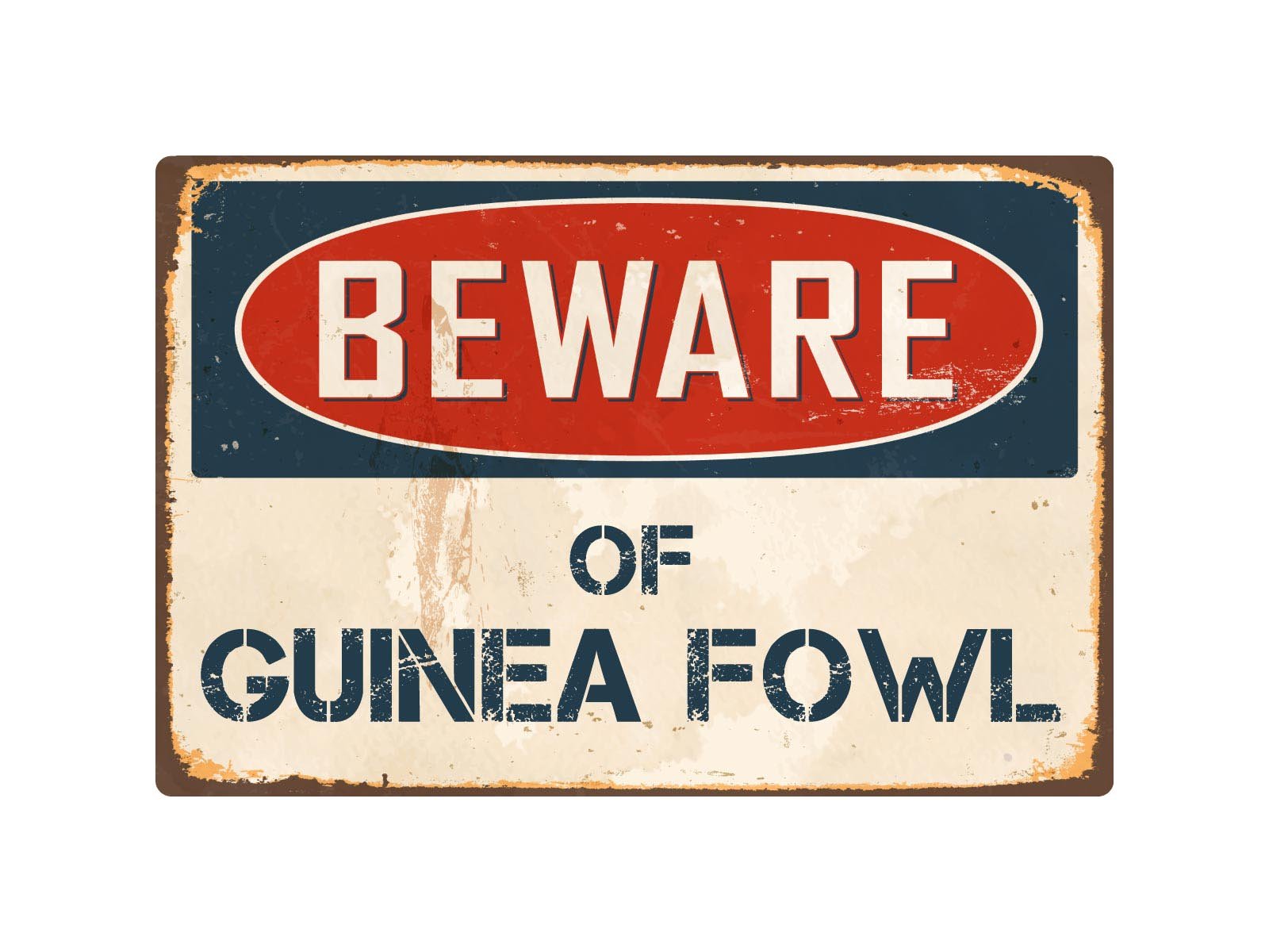 Sticker Pirate Beware Of Guinea Fowl 8" x 12" Vintage Aluminum Retro Metal Sign VS199