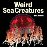 Weird Sea Creatures