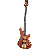 Amazon.com: Schecter Stiletto Studio-4 Fretless Electric Bass (4 