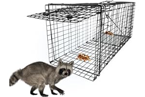 GHYKL Live Humane Animal Trap, 32" x 11" x 12" Heavy Duty Humane Animal Cage Trap Catch and Release, Foldable Cat Trap for Stray Cats, Raccoons, Groundhogs, Opossums, Armadillos, and Similar-Sized Animals