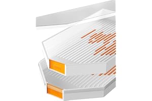 DPG-THE DIAMOND PAINTING GROUP 4 PC Diamond Painting Trays with Lids/Covers, 2 Bead Trays & 2 Lids, Large Plastic Bead Sorting Trays, Diamond Gem Accessory, Diamond Art Tool, White Rhinestone Tray, Diamond Art Storage Containers