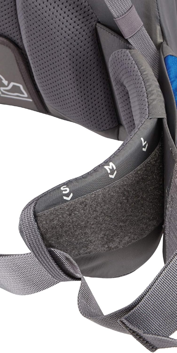 sapling elite child carrier