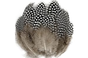 LWINGFLYER 100pcs 3"-6" Natural Color Spotted Feathers Guinea Pheasant Feather for Crafts Dream Catcher Jewelry Decoration, Colored Turkey Chicken Plume Feathers