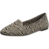 Cleo-Knitty Zebra Ballet Flat 