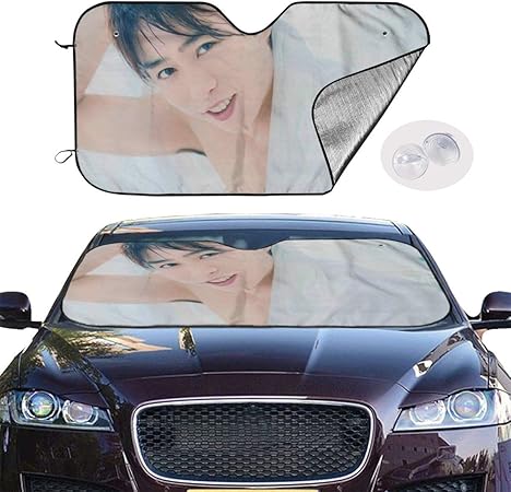 Amazon さくらい しょう 3 車用 サンシェード 取り付けが簡単 折り畳み式 軽量の日除け 吸盤4個付き カー用品 プライバシー保護 車中泊 仮眠 盗難防止 車カバー 防水雪対策 99 紫外 落葉対策 普通車 軽自動車 Suvに適用 夏冬兼用70 130cm サンシェード 車 バイク