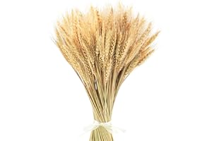 Uieke 17.7 Inches Dried Wheat Stalks, 200 Stems Dried Flowers 100% Natural Wheat for Home Kitchen Wedding Party Table Centerpiece Harvest Wreath Boho Farmhouse DIY Decoration