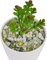 Hisredsun Natural Jade Pebbles 3.96 lb 0.3-0.5in Decorative Stones view 5