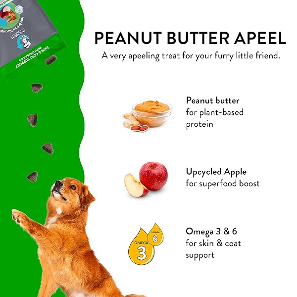 SHAMELESS PETS NATURAL GRAIN FREE DOG TREATS | MADE IN THE USA FROM UPCYCLED FOOD INGREDIENTS (APPLE)