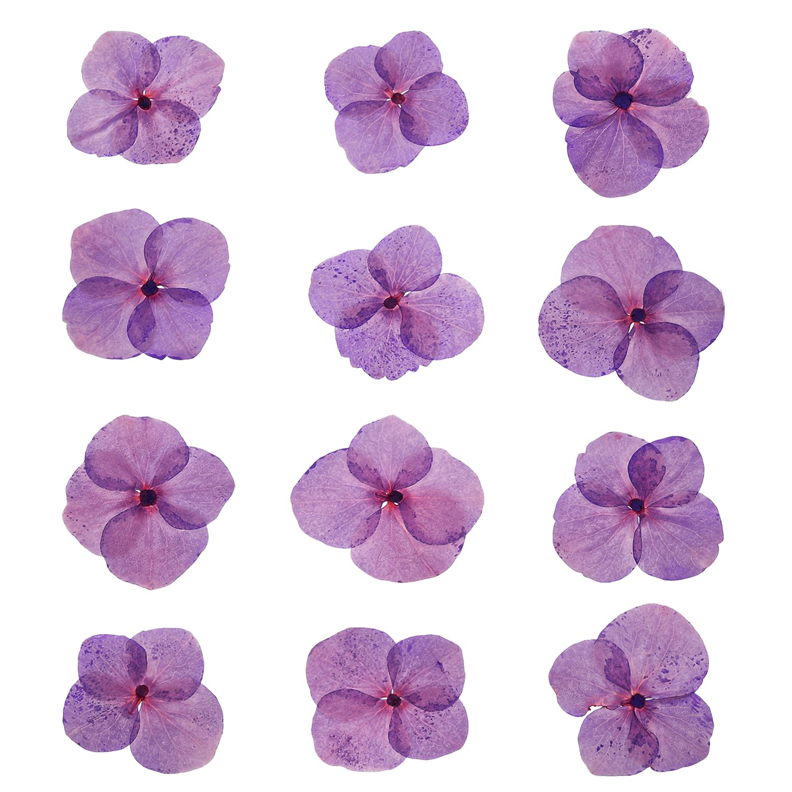 PATIKIL Dried Pressed Flower, 48 Pcs for Resin DIY Crafts Nail Art Cards Scrapbooking Jewelry Making Floral Decor Candle Decors, Light Purple