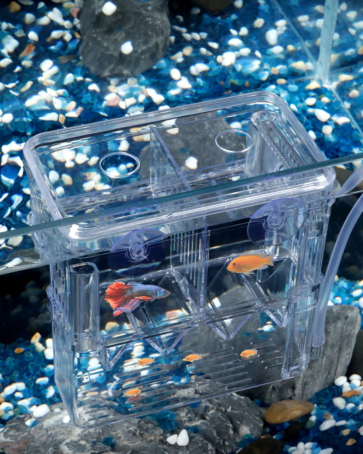 Photo 1 of Pawfly Aquarium Breeding Box - Transparent Plastic Fry Hatchery Incubator for Baby Fish, Shrimp, Betta, Clownfish