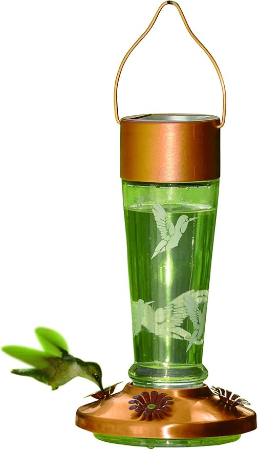Solar Powered Lighted Hummingbird Feeder Amazon.ca Patio, Lawn & Garden