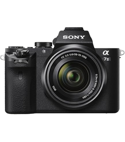 SONY α7Ⅱ ILCE−7M2 Sony ILCE-7M2 a7 II - Photo Review