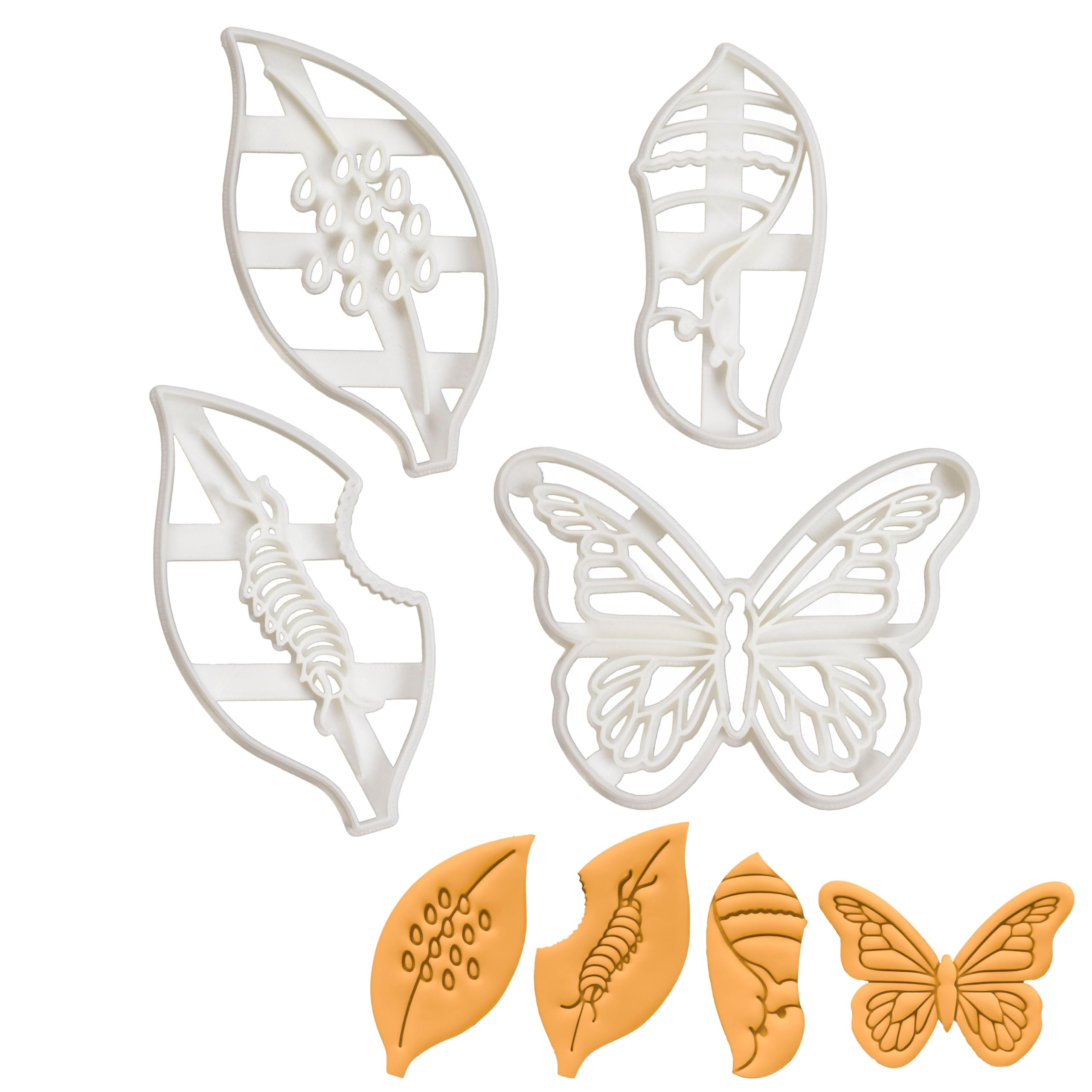 BAKERLOGY Set of 4 Monarch Butterfly Life Cycle Stages (Designs: Eggs, Caterpillar, Chrysalis, and Butterfly) - Detailed Biscuit Cutter Design for Baking and Crafts, Ideal on Fondant, Dough, Clay