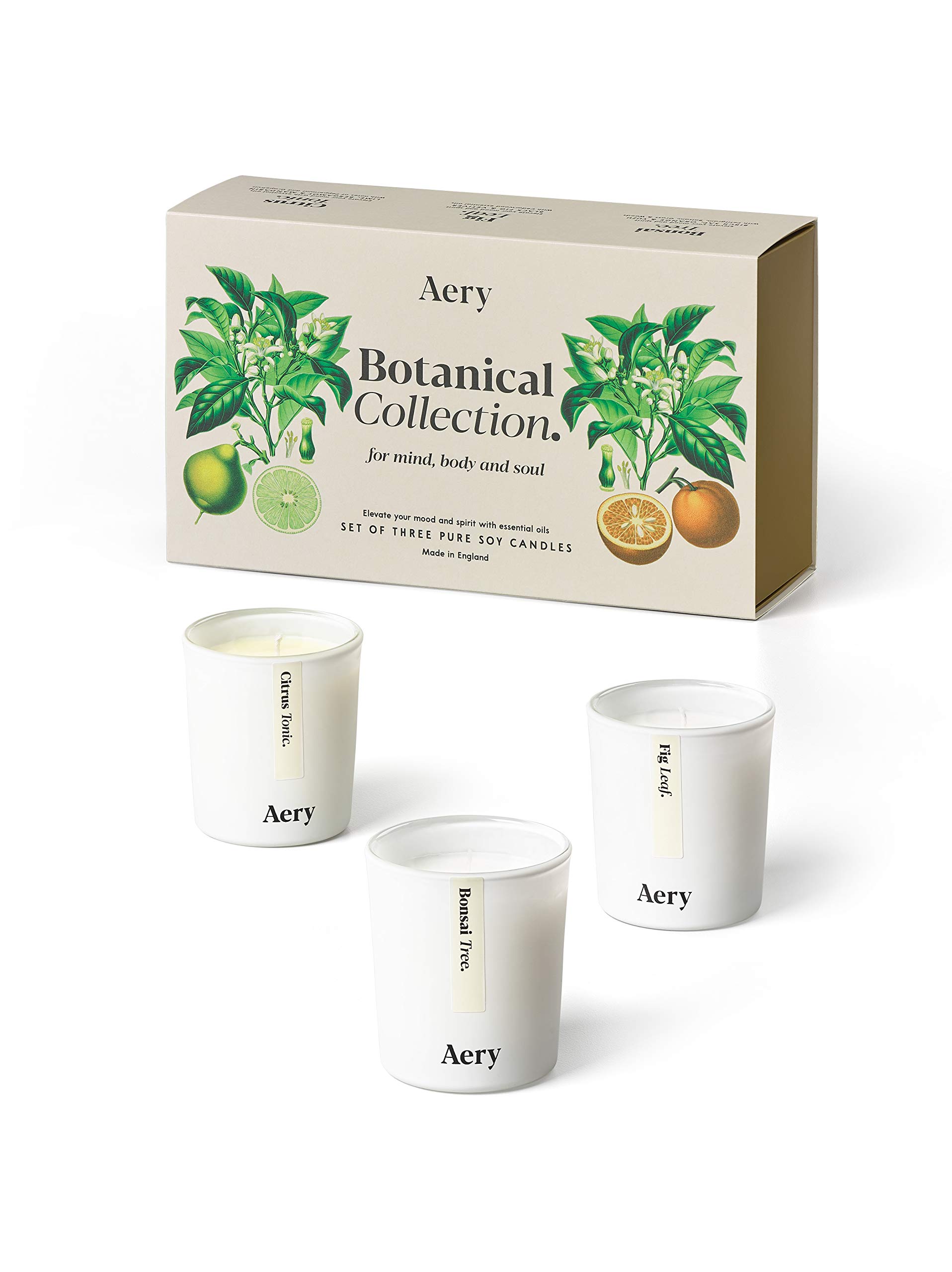Aery Candle Gift Set, Botanical