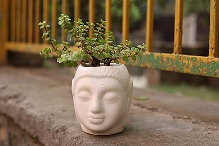 Lyallpur Stores Buddha Ceramic Planter - Medium (White Color, 12 cm) Plant Not Included