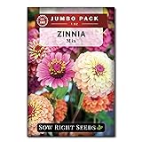 Sow Right Seeds - Bulk Mixed Zinnia Seeds for