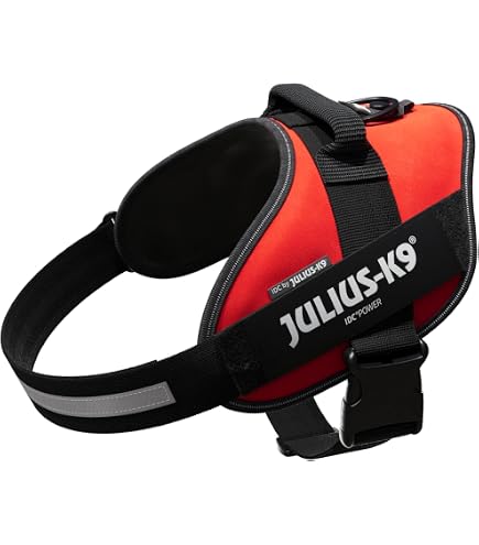 Julius-K9 IDC® Color & Gray Belt Harness Review - Dog Gear Review