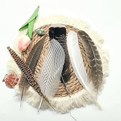 White Goose Feathers Bulk 10pcs,Natural Long 8-10