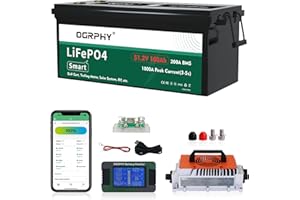 OGRPHY 48 Volt Lithium Battery for Golf Cart with 18A Charger, 48V Lithium Battery with 200A BMS, LCD & Mobile Monitor, 5.12kWh with 10.24kW Output, 1000A Peak Current for Golf Cart(100AH)