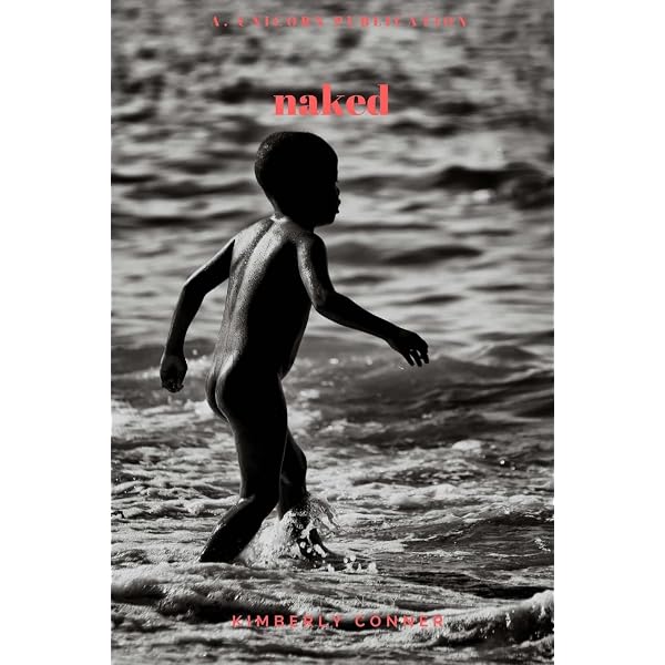 Amazon.com: Chasing Beauty: 9781576875612: Michael Cunningham