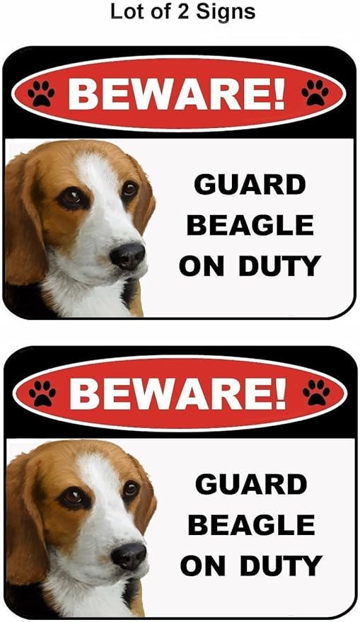 beagle guard dog
