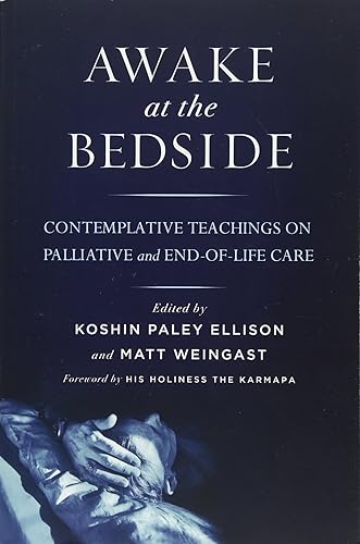 Download Awake at the Bedside: Contemplative Teachings on Palliative and End-of-Life Care PDF