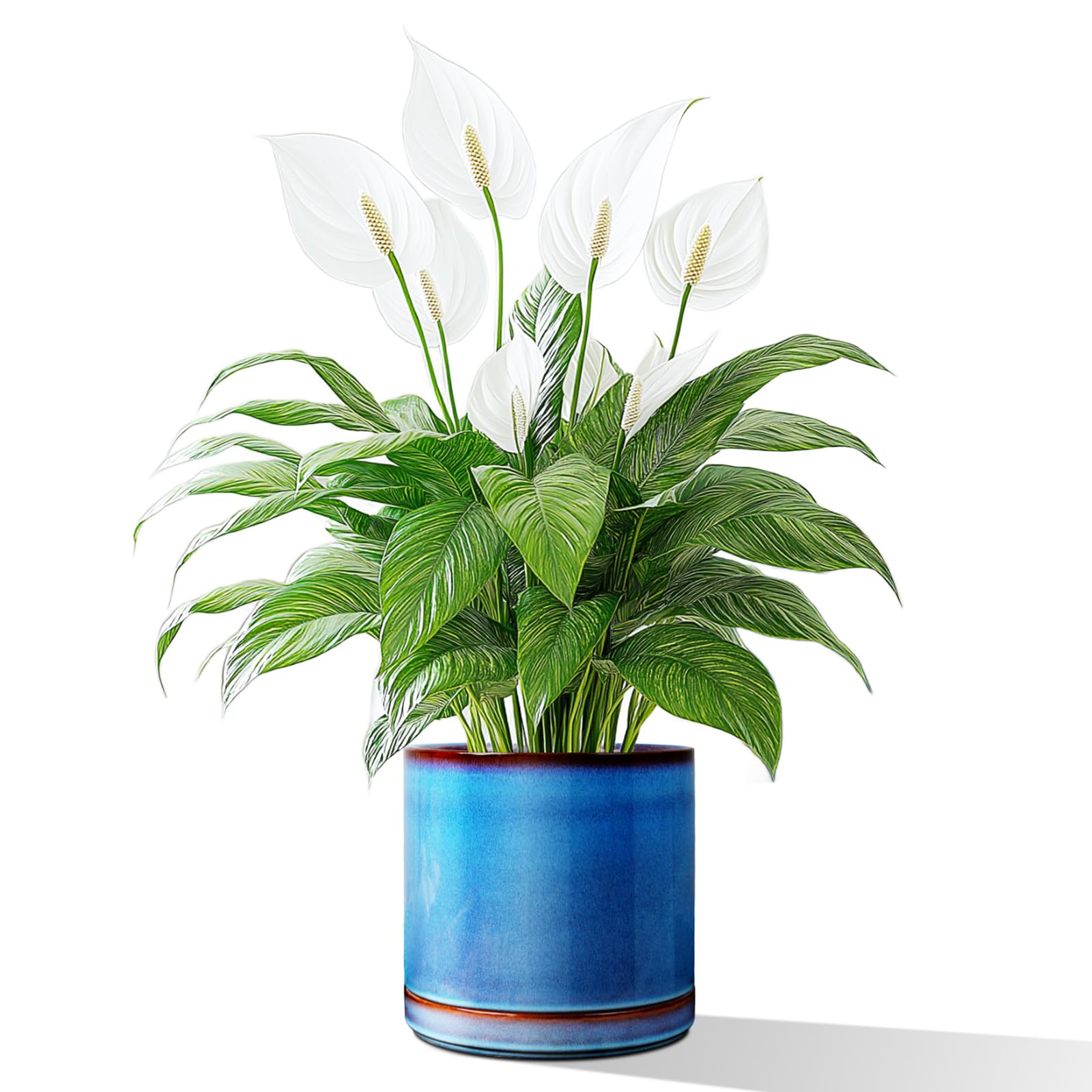 Photo 1 of (MISSING SAUCER) LITUDISO 8 Inch Ceramic Plant Pots for Indoor Plants - Heavy Duty Modern Flower Pot with Drainage Hole & Saucer, Soil Retention Mesh, Blue Glazed Home Decor