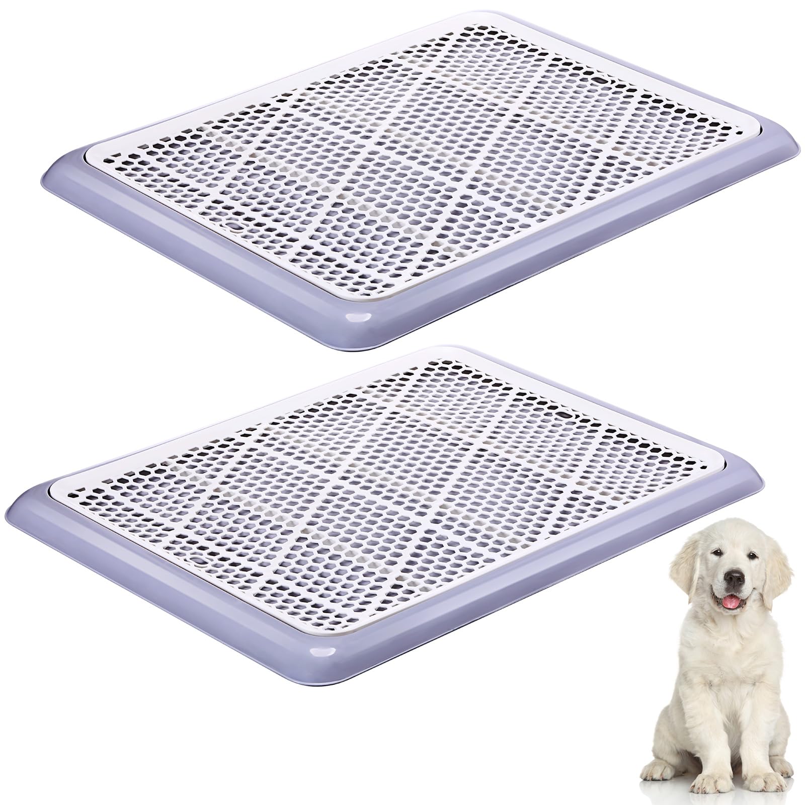 Amazon How To Potty Train A Puppy On Puppy Pads Potty Training