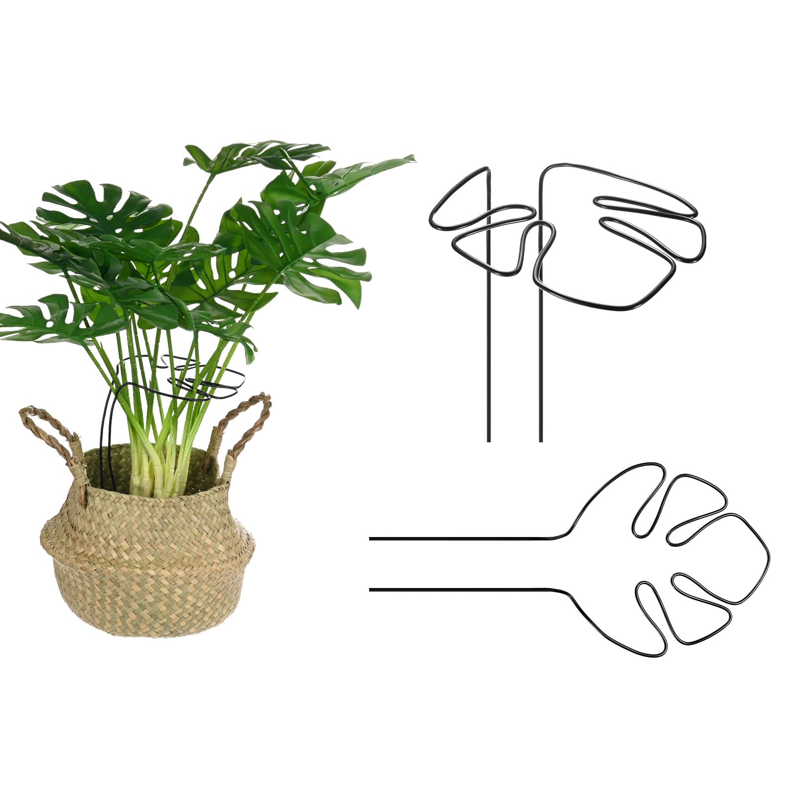M METERXITY 2-Pack Monstera Plant Support, 11x5.9 Inch Reusable Sturdy Alloy Plant Support Stakes Unique Design for Potted Plants Flowers/Vegetables/Indoor Outdoor Climbing Plants [Black]