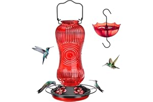 TERULF 25 Ounces Hummingbird Feeders for Outdoors Hanging, Vintage Style Glass Humming Bird Feeder with Ant Moat & 5 Feeding Ports