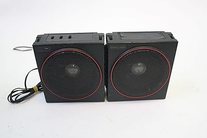 amplified speaker system