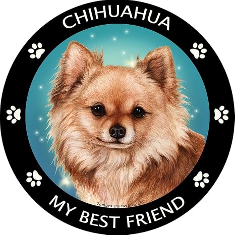Magnetic Pedigrees Red Long Haired Chihuahua My Best Friend Magnet