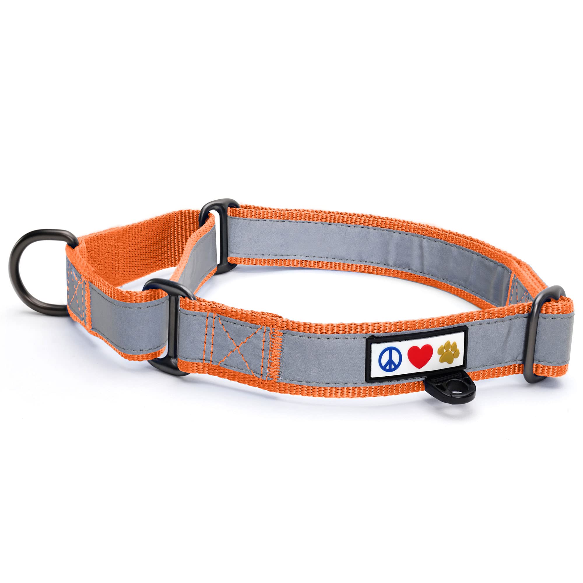 Pawtitas Martingale Dog Collar Puppy Collar