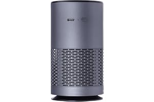 Portable Air Purifier for Home Car Bedroom for USB Rechargeable Anion Technology Smoke and Formaldehyde Removal 5V 300mA Comp