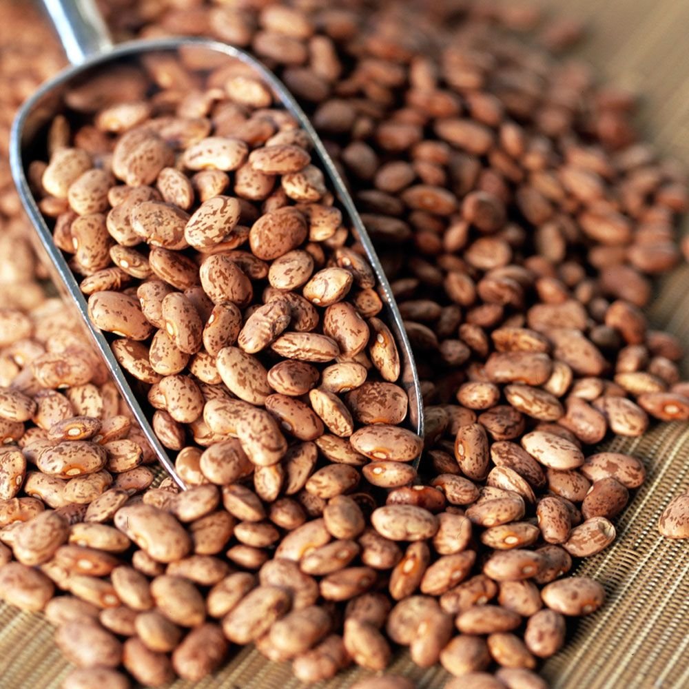 Patriot Pantry Mega Protein Emergency Food Kit Real Meat, Beans for