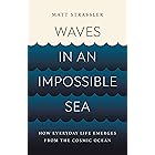 Waves in an Impossible Sea: How Everyday Life Emerges from the Cosmic Ocean