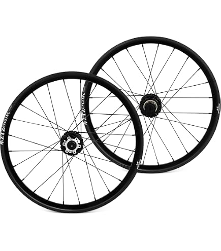 Amazon.com: Alienation 20in Alloy BMX 20in RR Black Sheep Rim