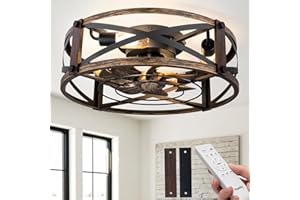 Passky 20" Farmhouse Flush Mount Ceiling Fans with Lights and Remote, Industrial Black Caged Low Profile Fandelier, 6 Speeds Bladeless Ceiling Fan for Bedroom, Kitchen, Living Room